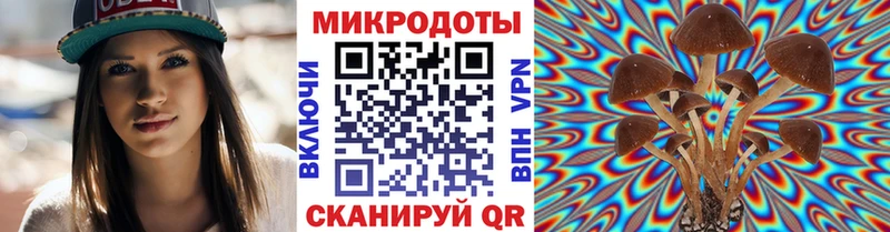 Псилоцибиновые грибы мухоморы  наркота  Фрязино 
