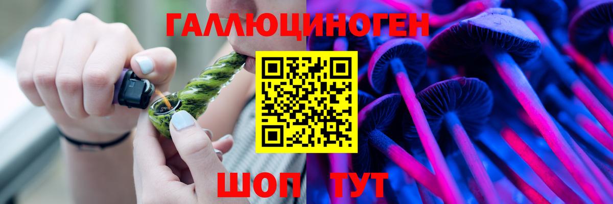 Галлюциногенные грибы GOLDEN TEACHER  Вход с VPN  Фрязино 