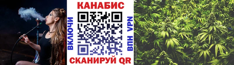mega   Фрязино  Бошки Шишки SATIVA & INDICA 